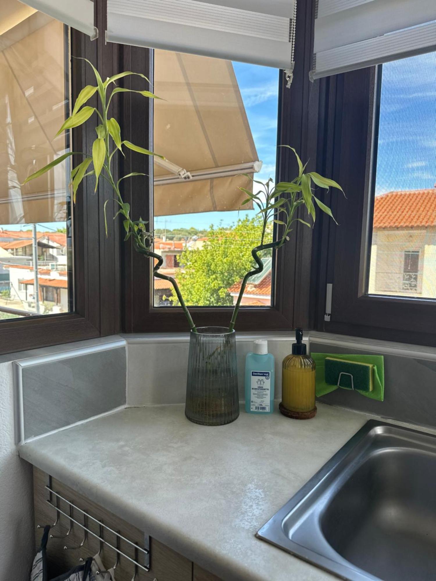 Artemis House Villa Néa Fókaia Екстериор снимка
